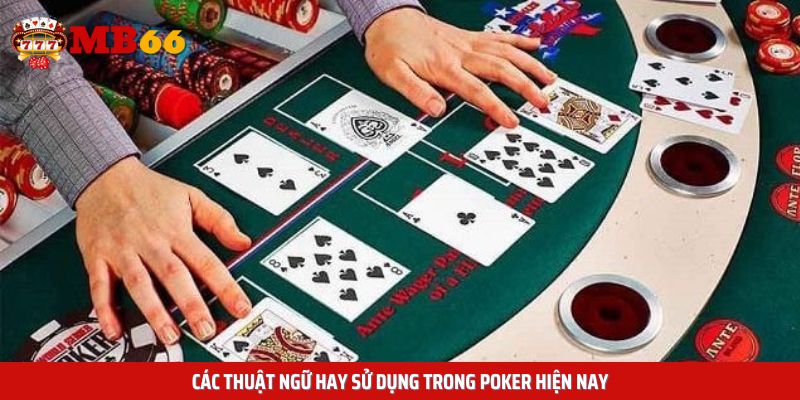 Các thuật  ngữ hay sử dụng trong Poker hiện nay