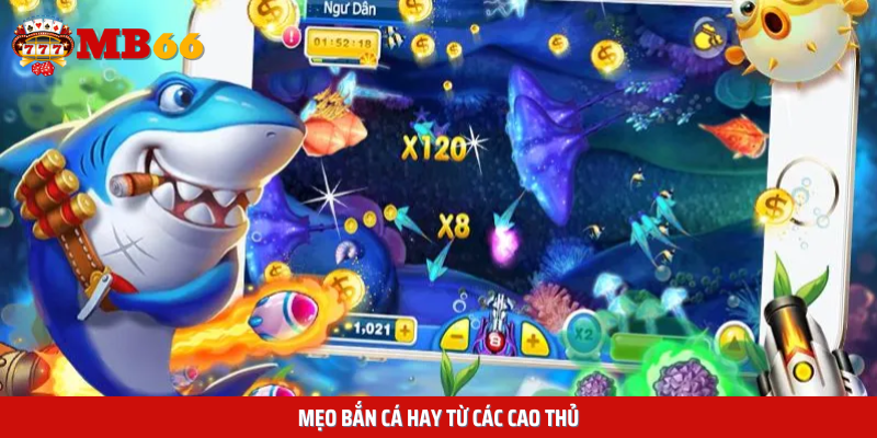 Mẹo bắn cá hay từ các cao thủ