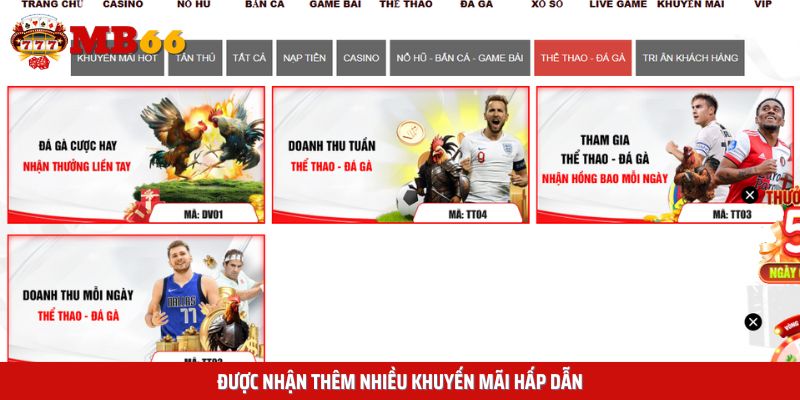 Sảnh thể thao luôn có những ưu đãi hấp dẫn