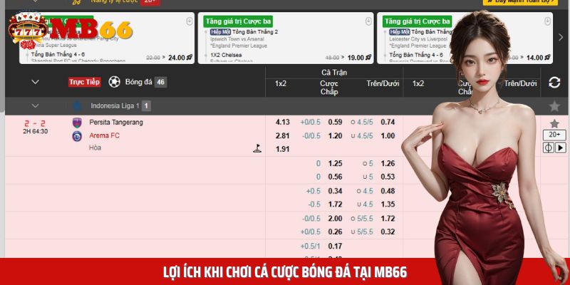 Tiện ích khi chơi cá cược bóng đá tại nhà cái