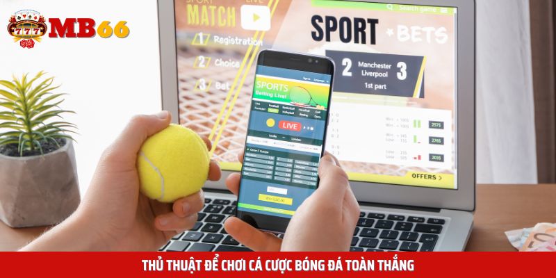 Chiến thuật để chơi cá cược bóng đá toàn thắng