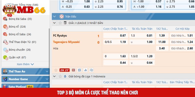 Danh sách 3 bộ môn cá cược thể thao nên chơi