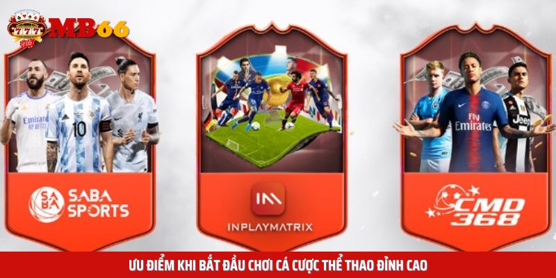 Ưu điểm nên chơi cá cược thể thao đỉnh cao