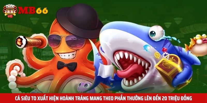 Cá siêu to xuất hiện hoành tráng mang theo phần thưởng lên đến 20 triệu đồng