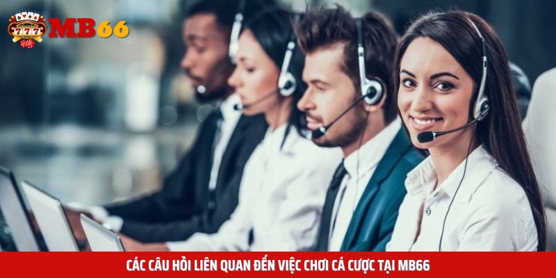 Các câu hỏi liên quan đến việc chơi cá cược tại MB66
