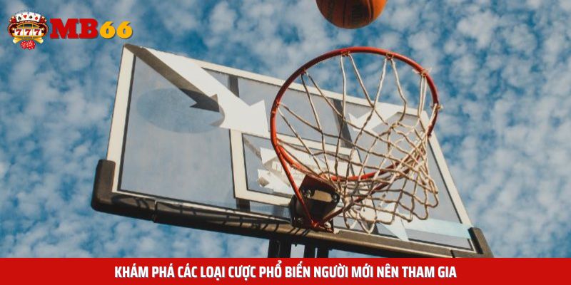 Khám phá các loại cược phổ biến người mới nên tham gia