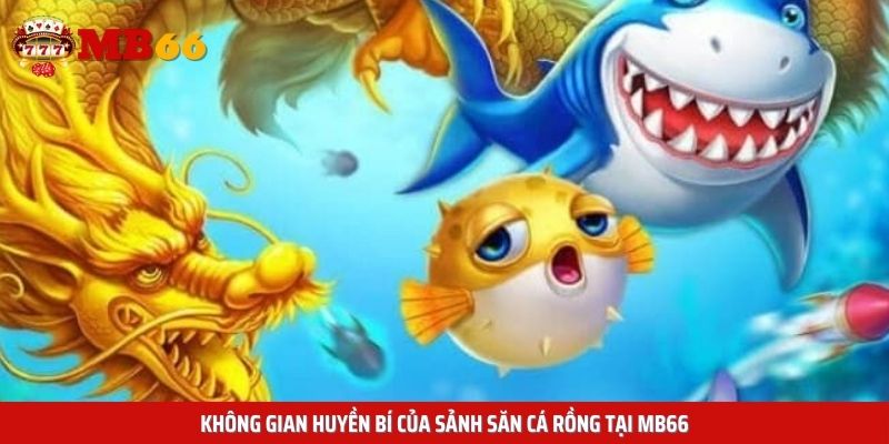 Không gian huyền bí của sảnh săn cá rồng tại Mb66