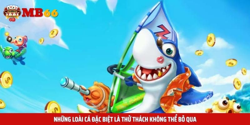 Những loài cá đặc biệt là thử thách không thể bỏ qua